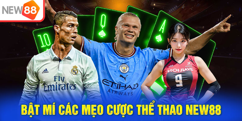 Bật mí các mẹo cược thể thao NEW88 ai cũng áp dụng được 